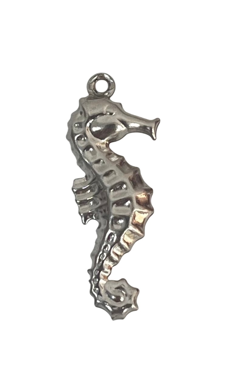 Ciondolo a forma di Cavalluccio Marino, 11x26 mm., in Acciaio